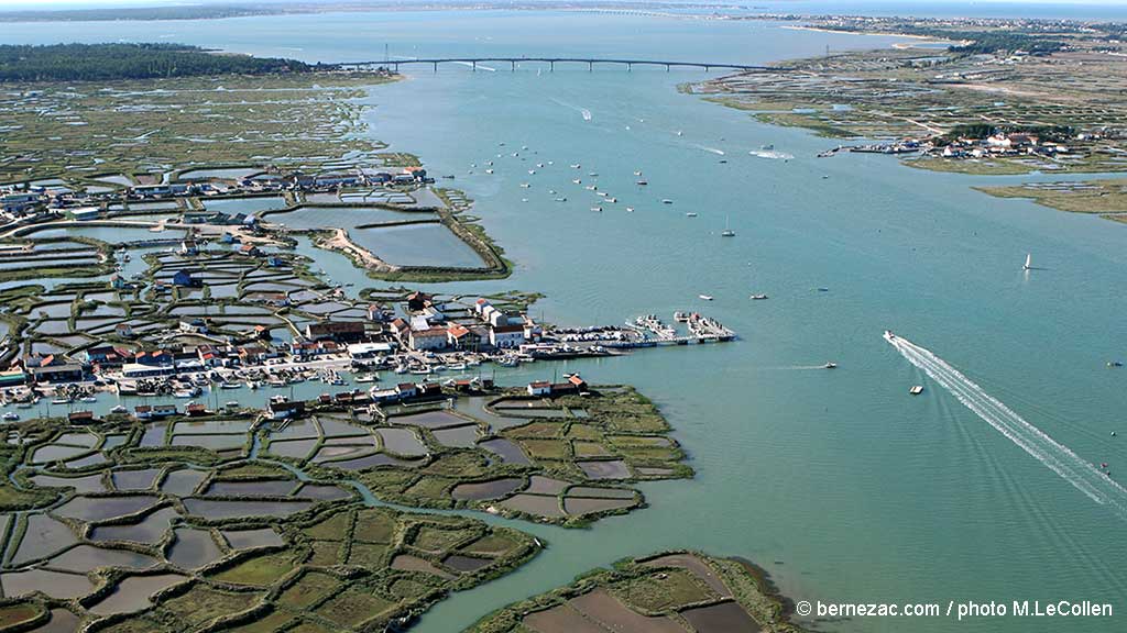 estuaire de la Seudre et La Tremblade