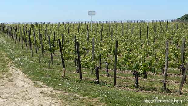 Saint-Emilion