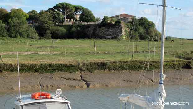 saint-seuret d'uzet château sur la falaise