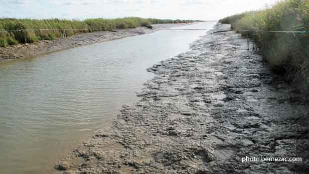 saint-seuret d'uzet, le chenal à marée basse