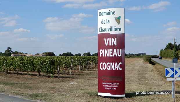 vignoble charentes