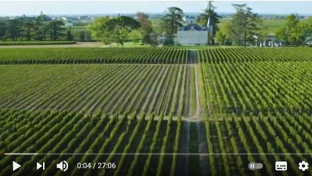 le vignoble de Bordeaux vu du ciel