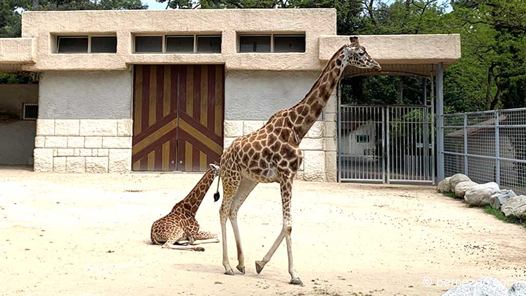 Zoo de La Palmyre