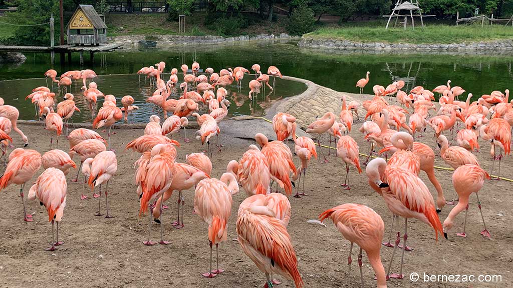 Zoo de La Palmyre