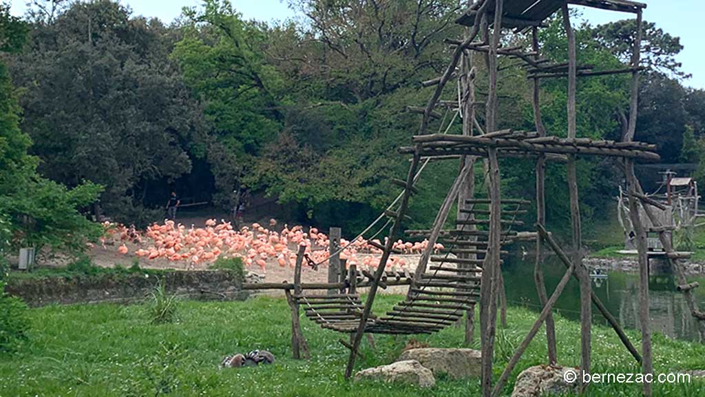 Zoo de La Palmyre