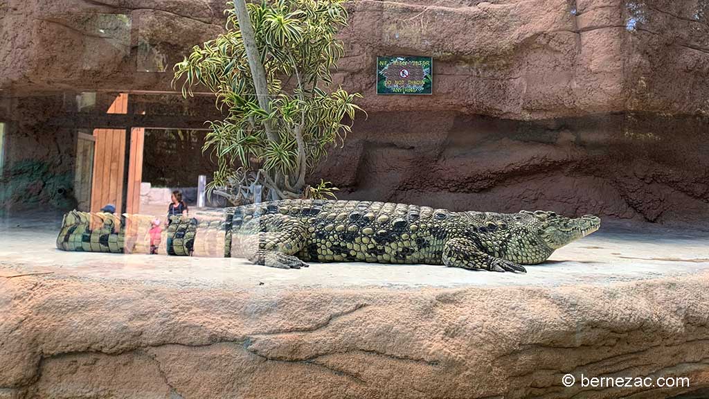 Zoo de La Palmyre