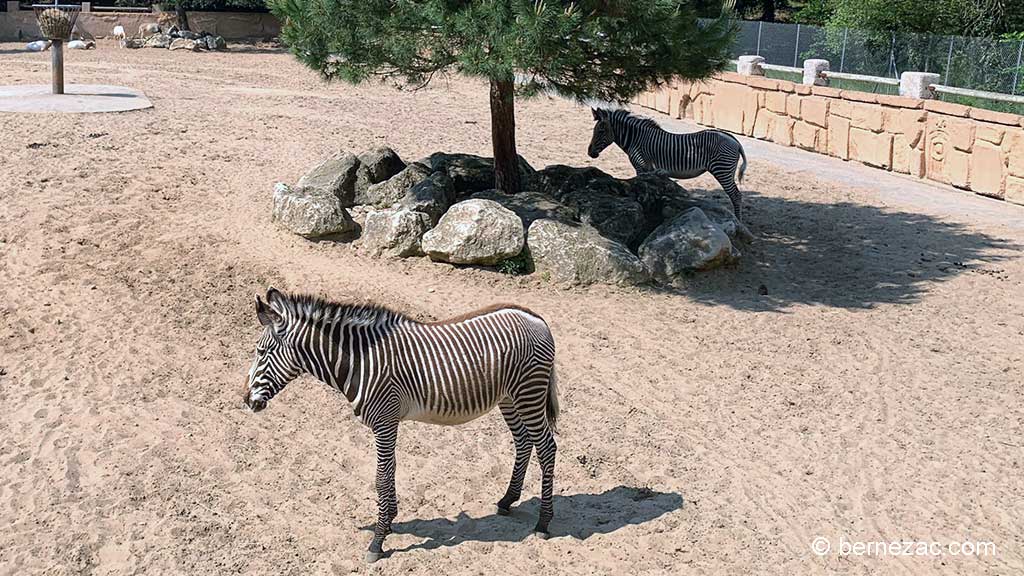 Zoo de La Palmyre