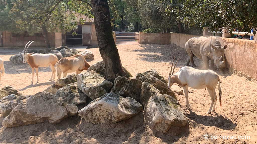 Zoo de La Palmyre