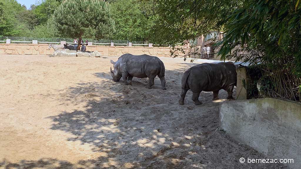 Zoo de La Palmyre