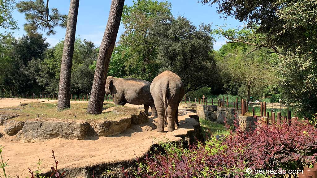 Zoo de La Palmyre