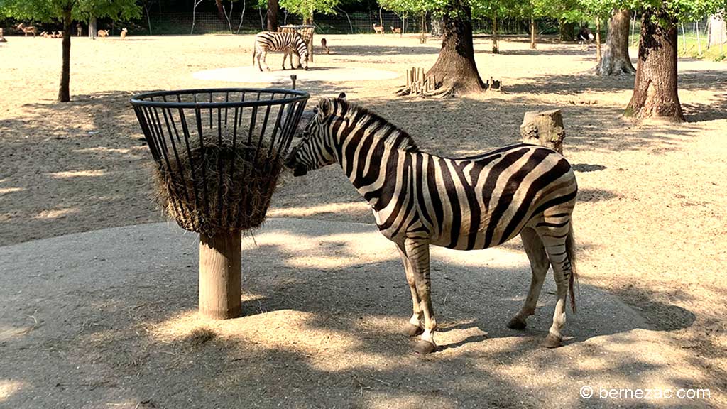 Zoo de La Palmyre