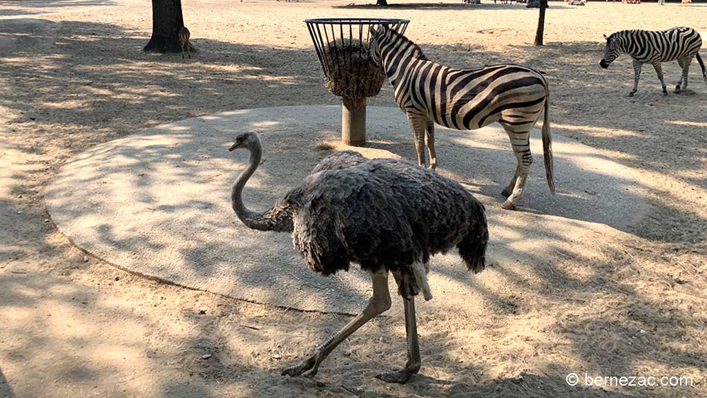 Zoo de La Palmyre