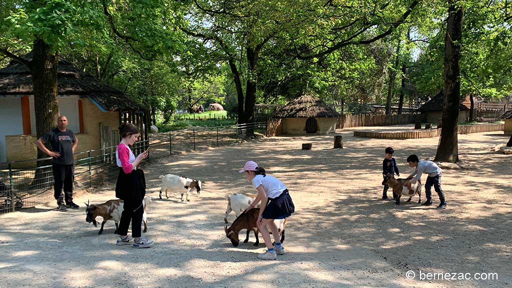 Zoo de La Palmyre