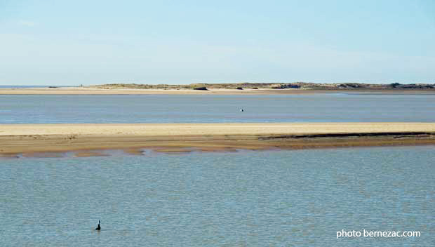 La Palmyre, les bancs de sable