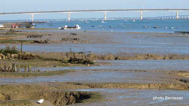 La Tremblade, vue vers l'aval et le pont de la Seudre, avec le pont d'Oléron en arrière-plan sur la droite.