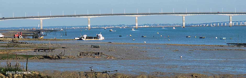 La Seudre et le pont