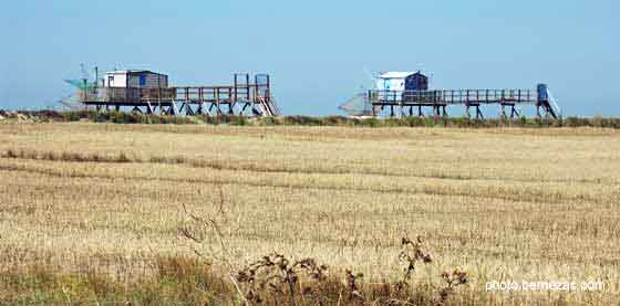 L'île Madame, carrelets et céréales