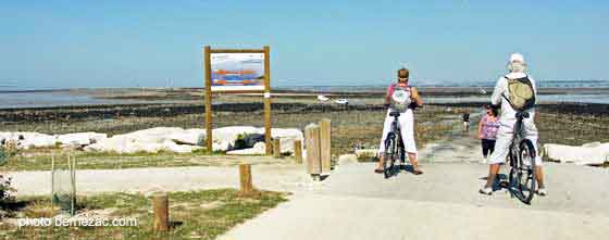 L'île Madame, le plateau des Palles