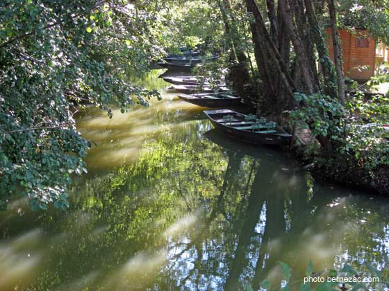 Arçais, barques