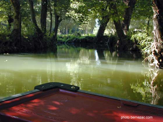 Marais Poitevin, promenade