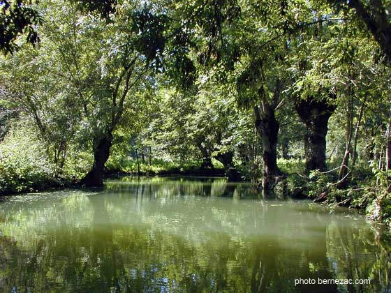 marais poitevin, une conche typique