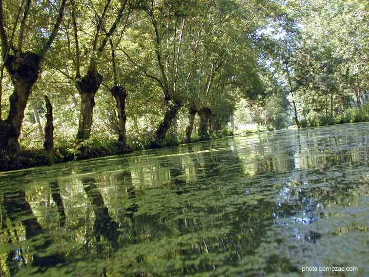 marais poitevin, conche