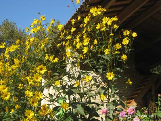 Marais Poitevin, ferme traditionnelle restaurée