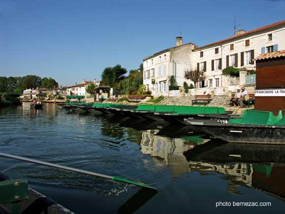 marais poitevin, Coulon