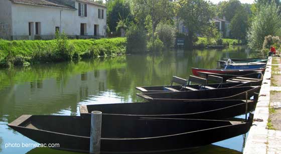 barques à Coulon