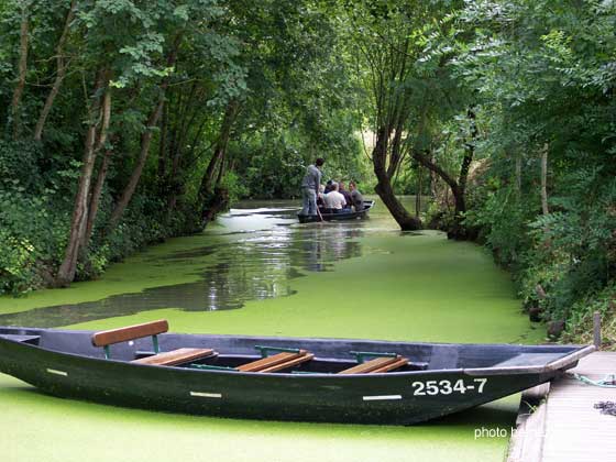 Marais Poitevin, embarcadère à Maillezais