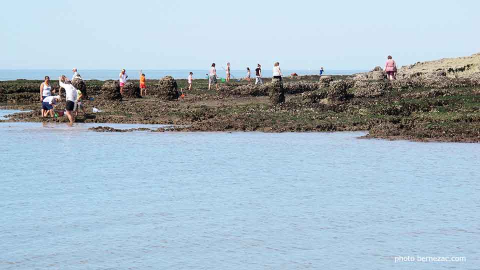 grande marée à Saint-Palais-sur-Mer