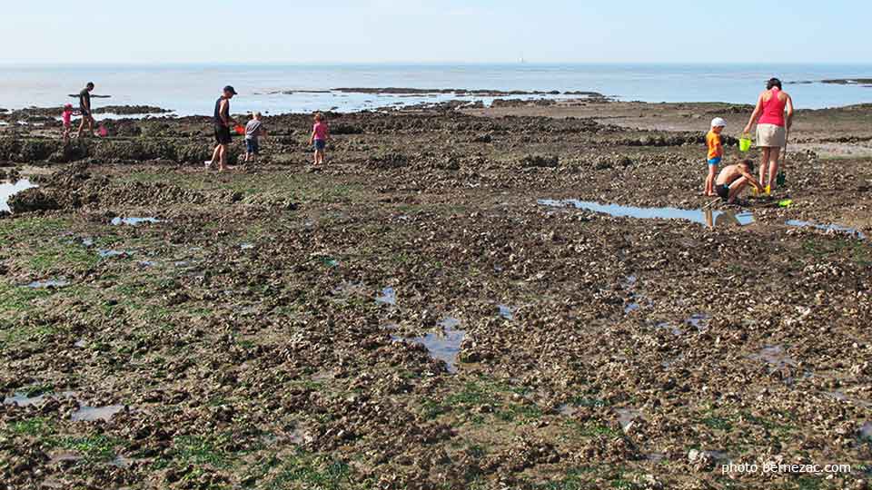 grande marée à Saint-Palais-sur-Mer