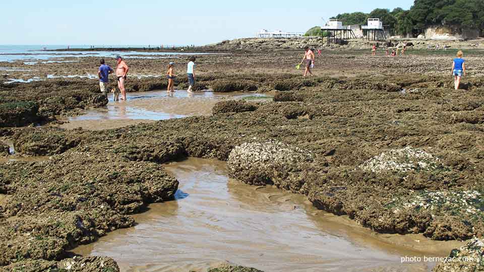 grande marée à Saint-Palais-sur-Mer