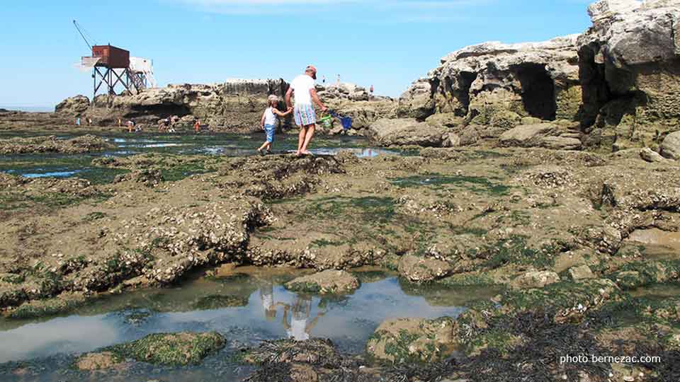 grande marée à Saint-Palais-sur-Mer