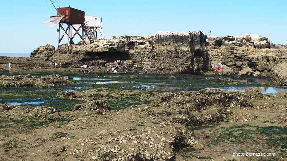 grande marée à Saint-Palais-sur-Mer