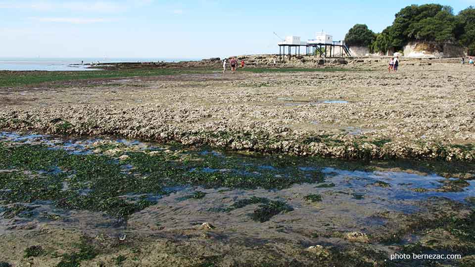 grande marée à Saint-Palais-sur-Mer