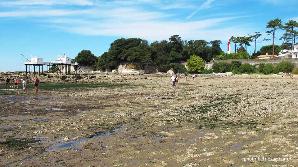 grande marée à Saint-Palais-sur-Mer