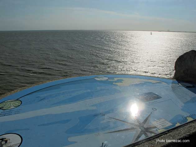 Meschers Régulus, estuaire de la Gironde