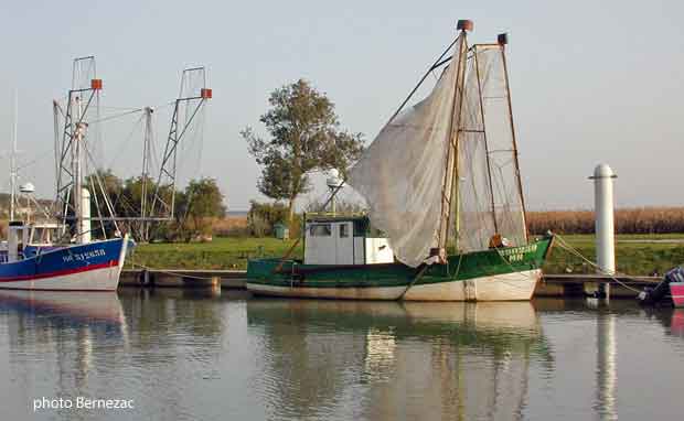 Mortagne-sur-Gironde, pêche de la civelle (pibale)