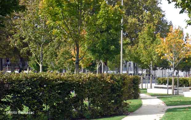 Niort, jardins de la Brèche, premières teintes automnales