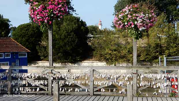 Le château d'Oléron, le pont des Rêves