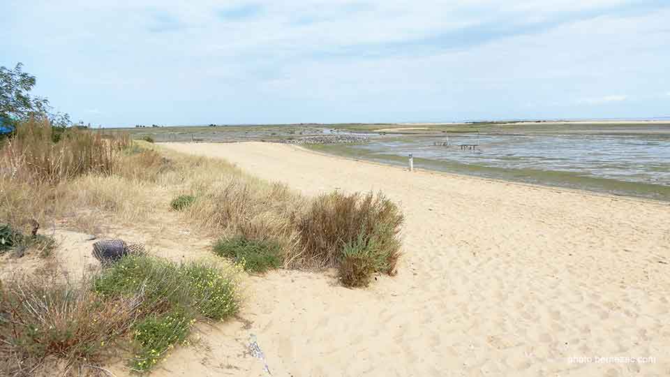 Fort Royer reserve naturelle marine Moëze-Oleron