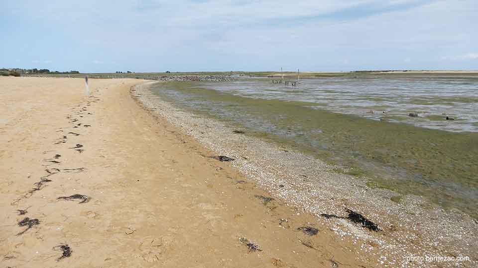 Fort Royer reserve naturelle marine Moëze-Oleron