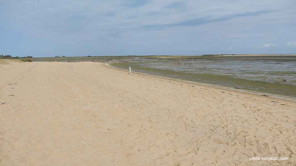 Fort Royer reserve naturelle marine Moëze-Oleron