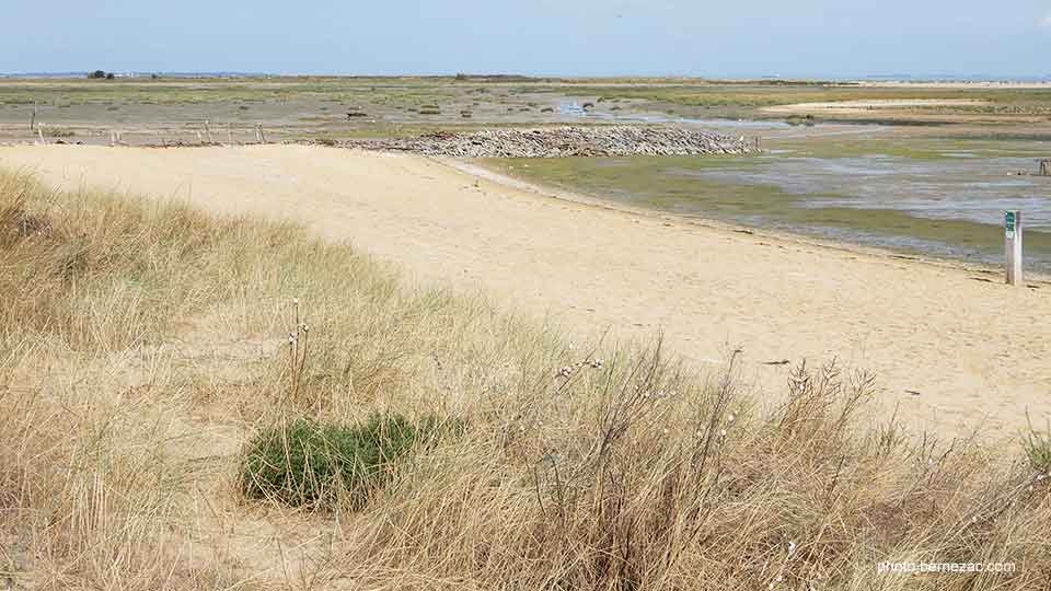 Fort Royer reserve naturelle marine Moëze-Oleron