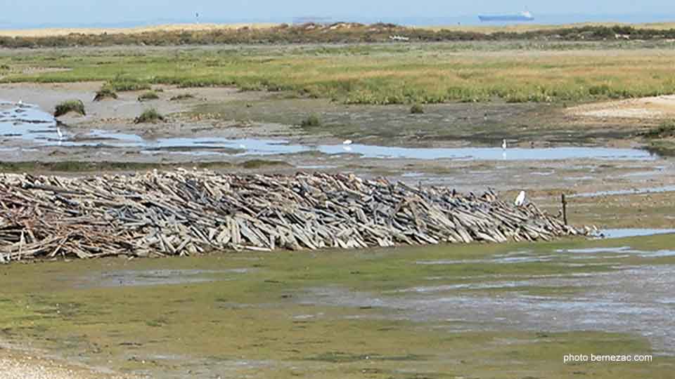 Fort Royer reserve naturelle marine Moëze-Oleron