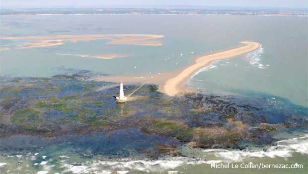 cordouan vue aerienne