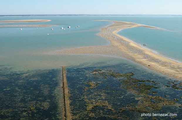 phare de Coedouan