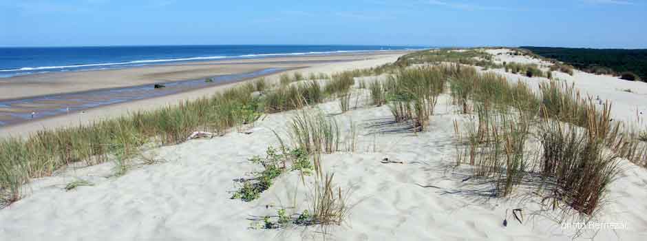 La plage de La Coubre