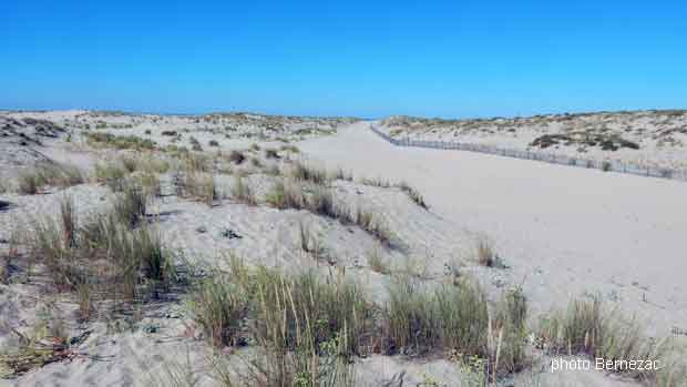 La plage de La Coubre, l'heure du bain